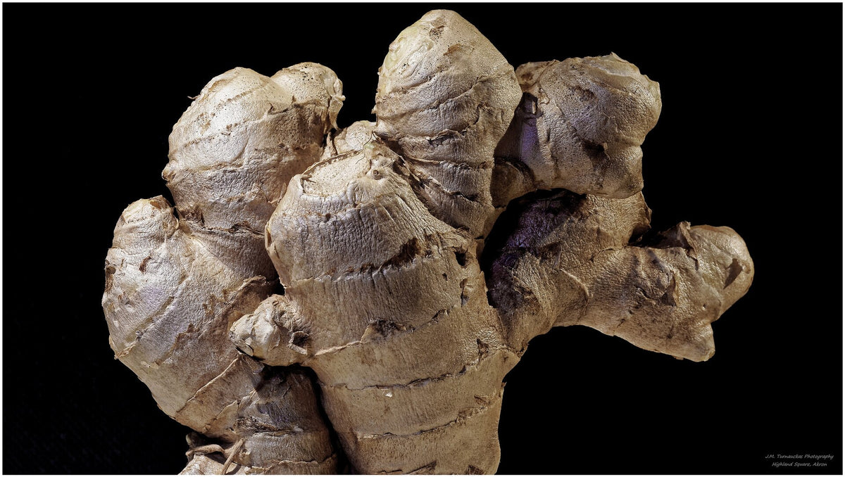 Fresh ginger root, a staple of the herbal medicine cabinet
