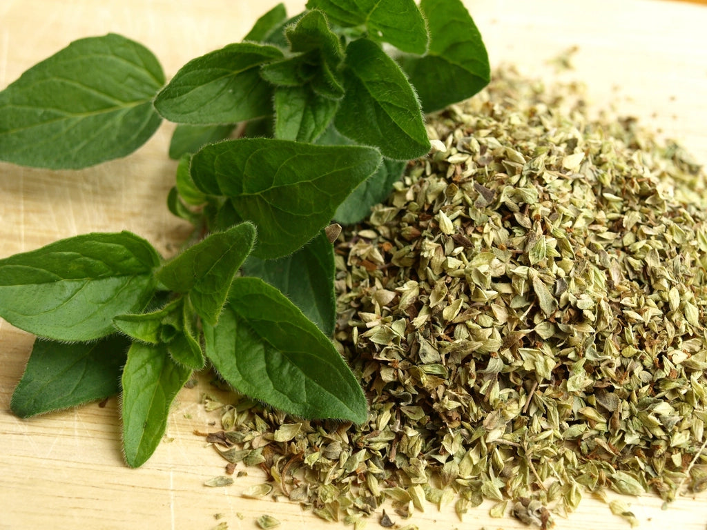 Fresh oregano leaves beside a pile of dried oregano