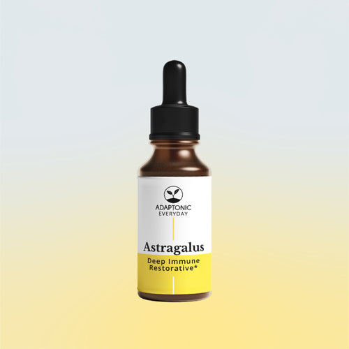 Astragalus liquid herbal extract bottle by Adaptonic