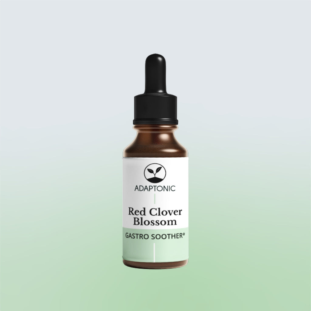 Red Clover Blossom liquid herbal extract bottle by Adaptonic