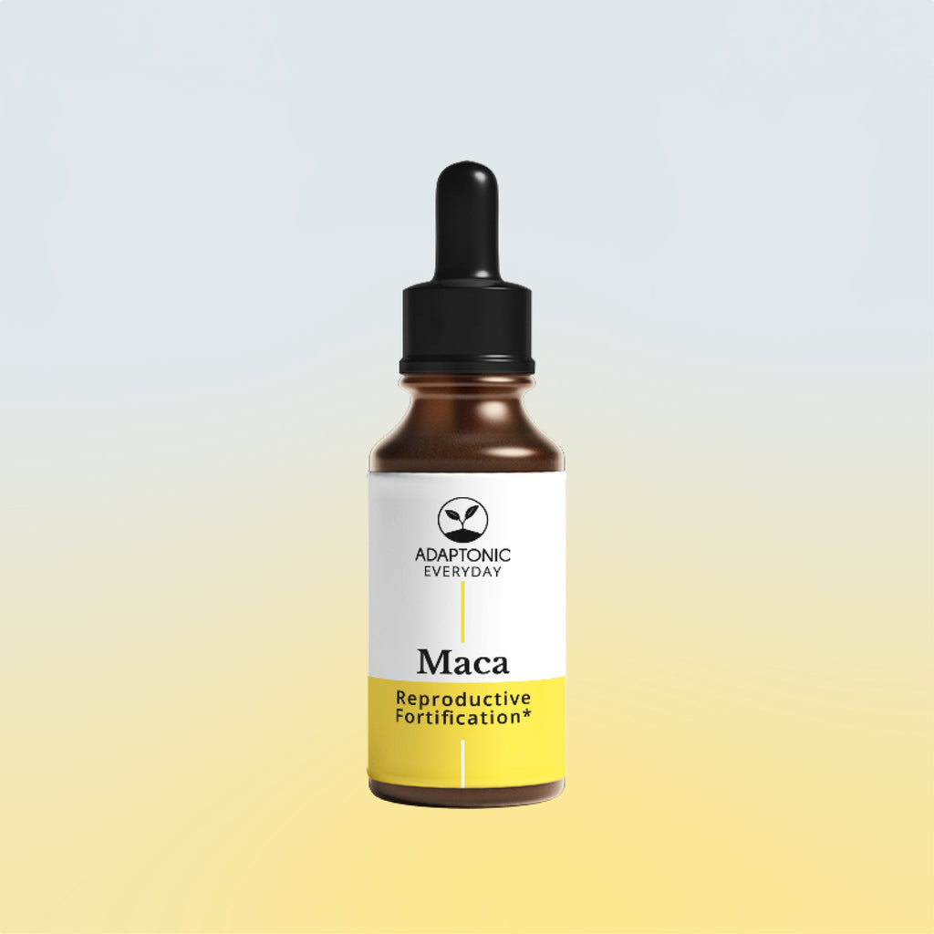 Maca liquid herbal extract bottle by Adaptonic