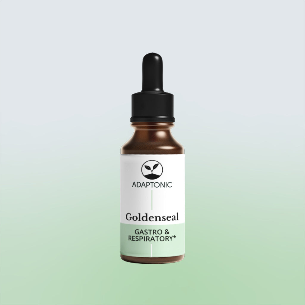 Goldenseal liquid herbal extract bottle by Adaptonic