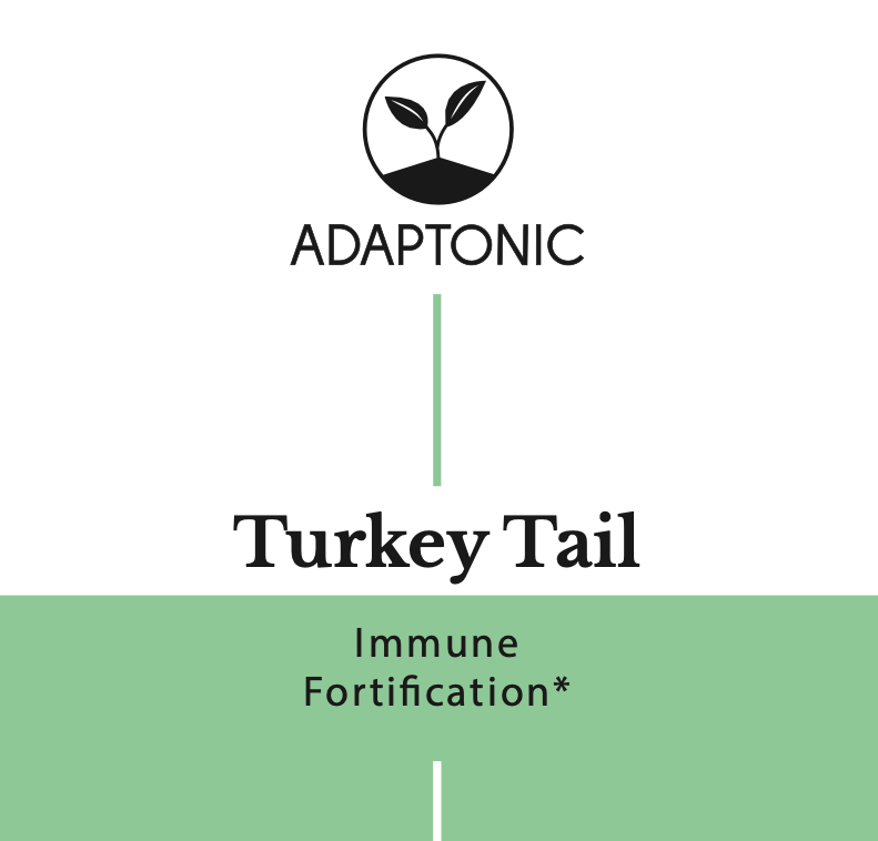 Turkey Tail liquid herbal extract bottle by Adaptonic