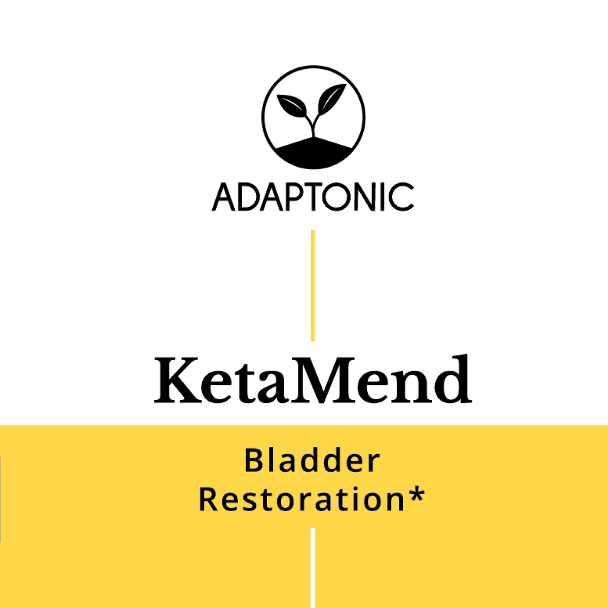 KetaMend liquid herbal formula bottle by Adaptonic