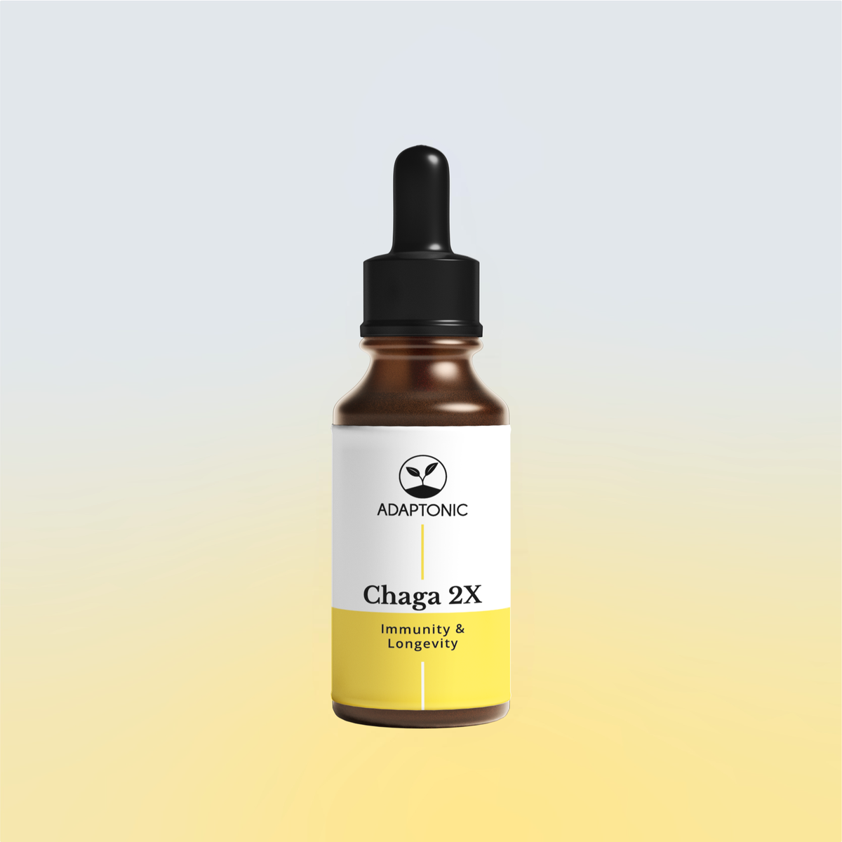 Chaga 2X liquid herbal extract bottle by Adaptonic