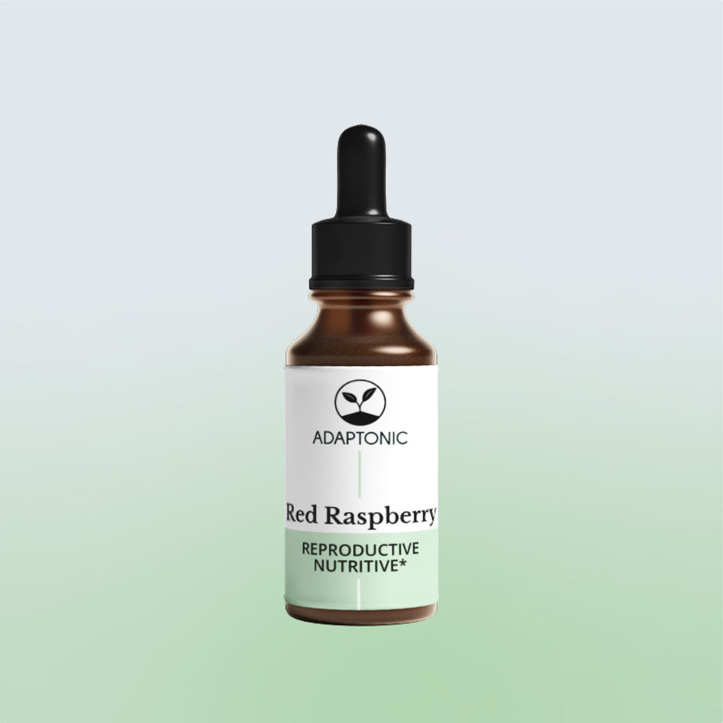 Red Raspberry Leaf liquid herbal extract bottle by Adaptonic