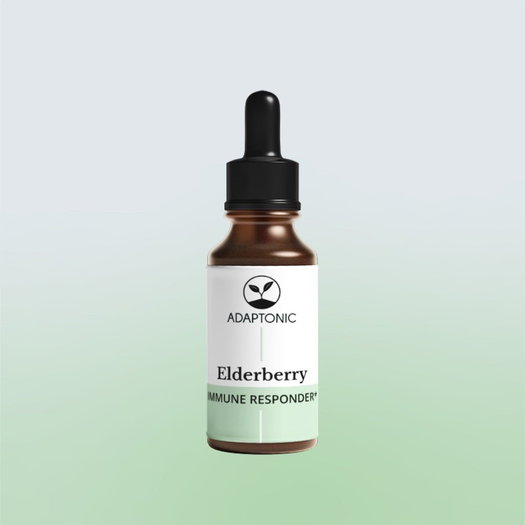 Elderberry liquid herbal extract bottle by Adaptonic