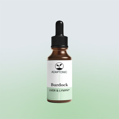 Burdock liquid herbal extract bottle by Adaptonic