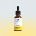 Ginger liquid herbal extract bottle by Adaptonic