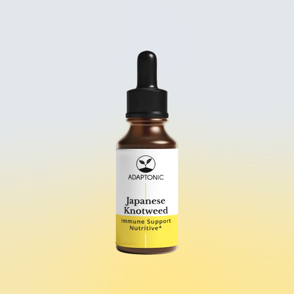 Japanese Knotweed liquid herbal extract bottle by Adaptonic