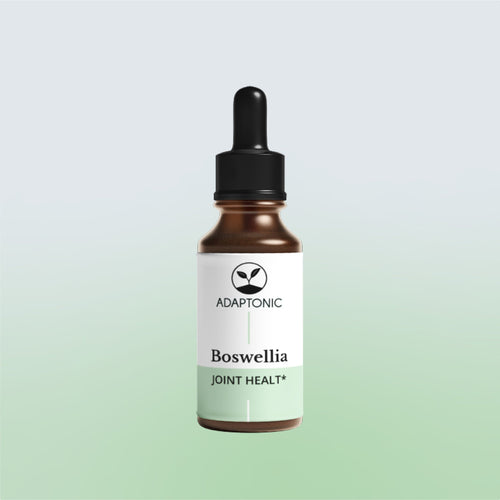 Boswellia liquid herbal extract bottle by Adaptonic
