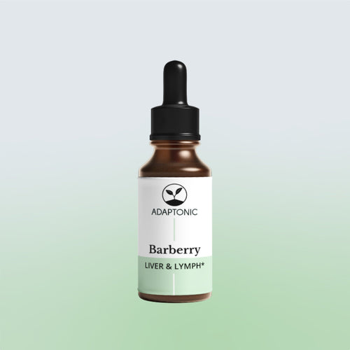 Barberry liquid herbal extract bottle by Adaptonic