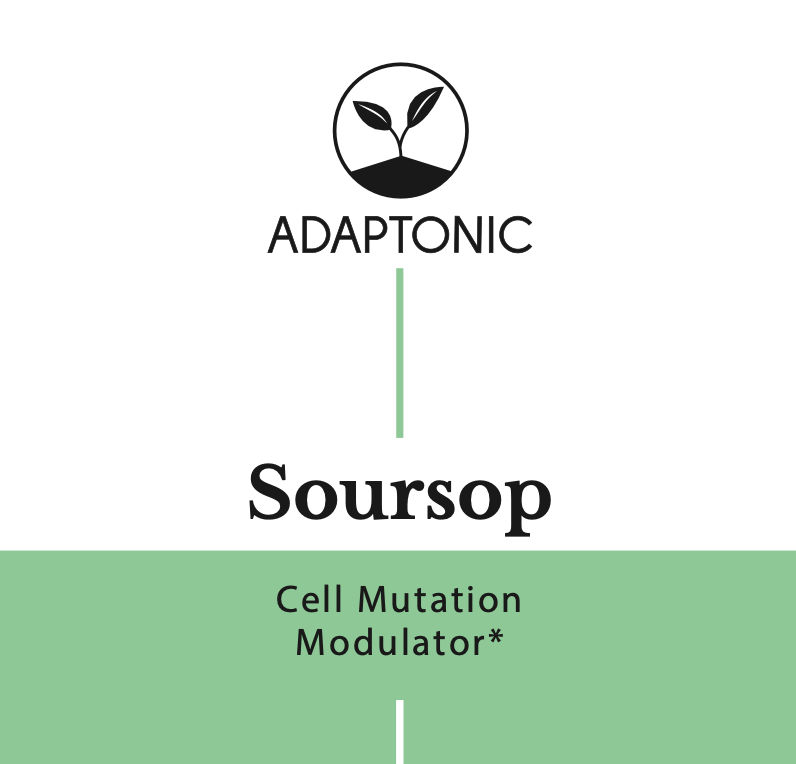 Soursop liquid herbal extract bottle by Adaptonic